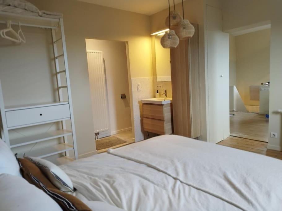 Au Pied Du Apartment